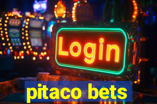 pitaco bets